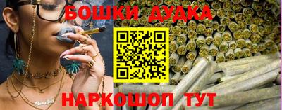 индика Будённовск