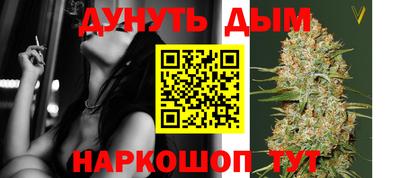 индика Будённовск